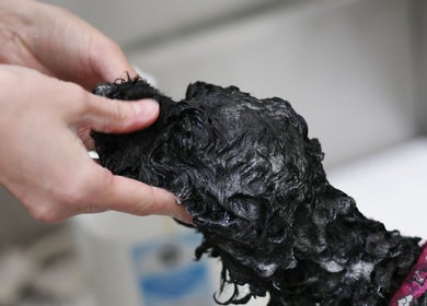 Dog being gently washed at Cuts For Pups, Melbourne, Victoria, AU, showcasing premium pet care.