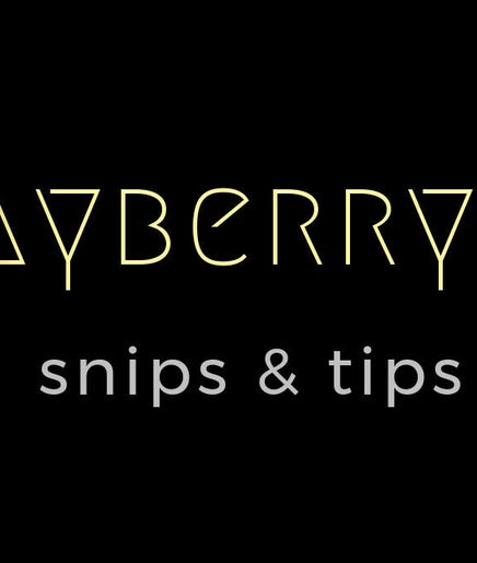Image de Jayberrys Snips and Tips 2