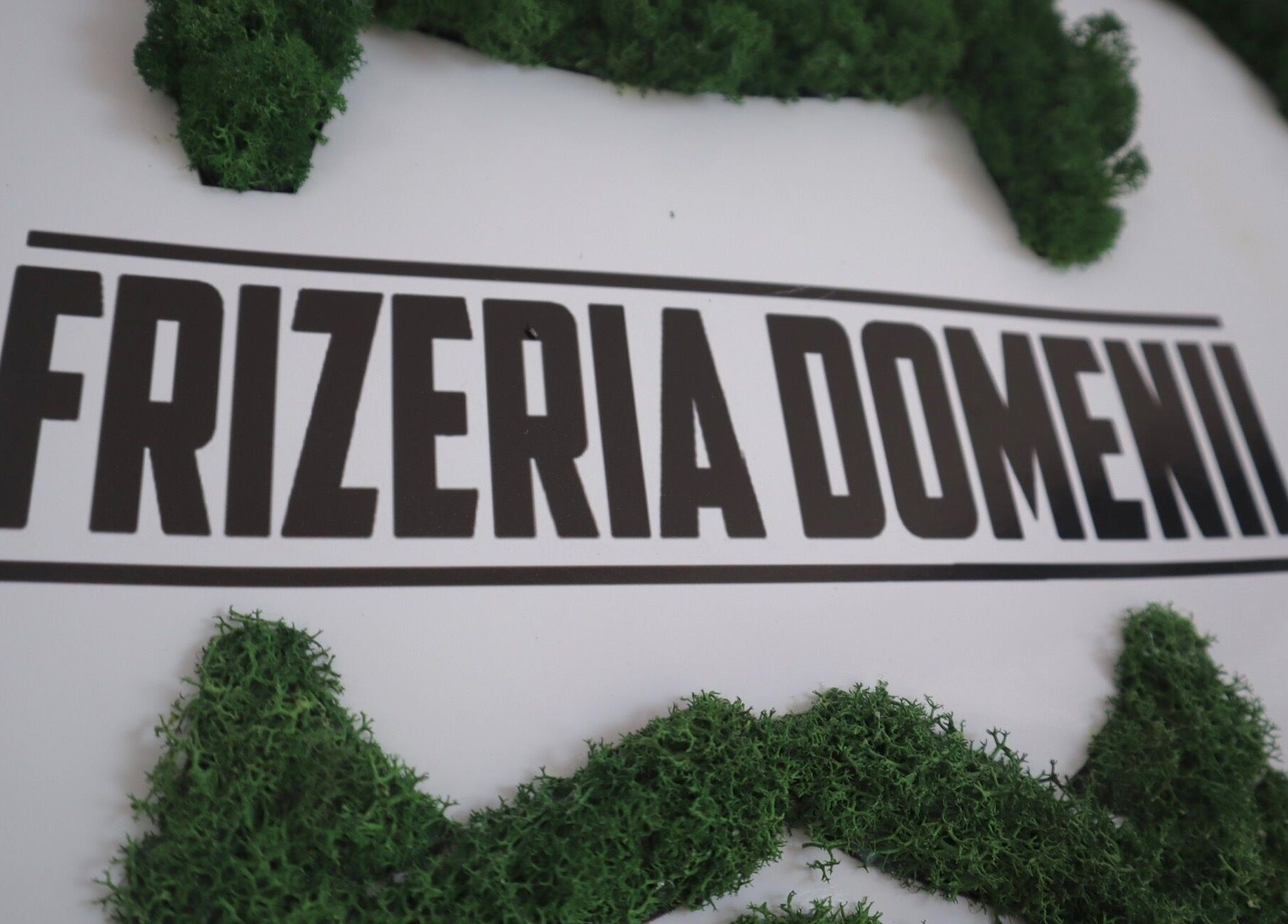 Logo Frizeria Domenii cu detalii de mușchi verde, București, București, RO.