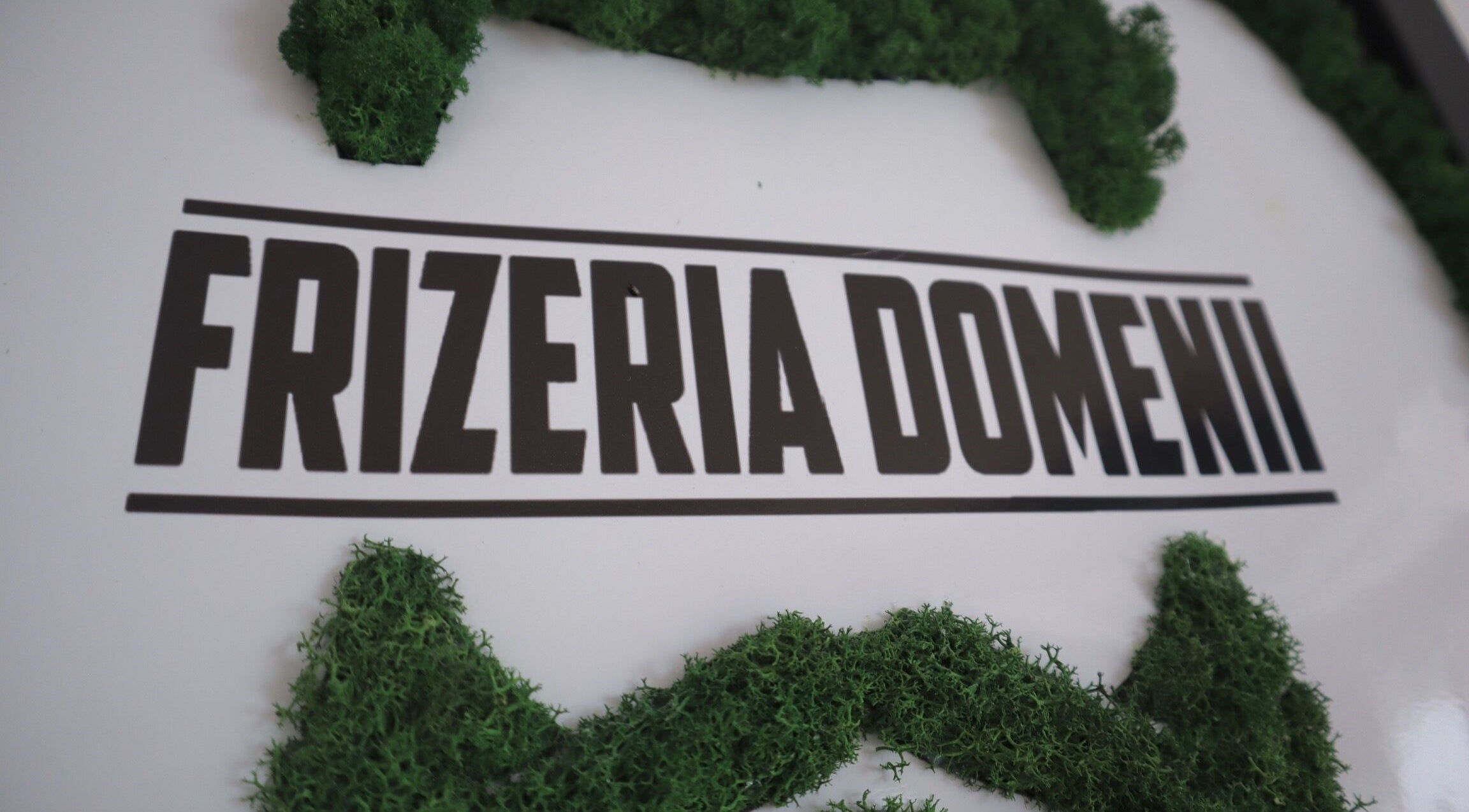Logo Frizeria Domenii cu detalii de mușchi verde, București, București, RO.