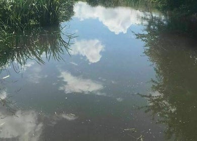 null