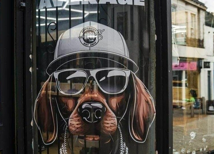 Stylish dog graphic on Uppercut's window in Kilsyth, Scotland, GB, showcasing trendy barbershop vibe.