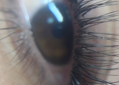 Primer plano de un ojo con pestañas largas en Monic Beaux, Bayamon, Puerto Rico, US.