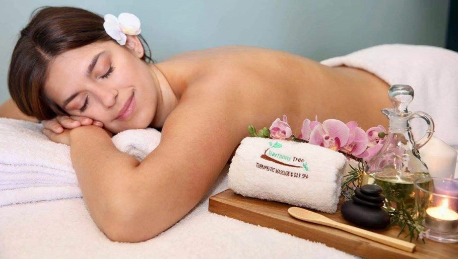 Harmony Tree Therapeutic Massage and Day Spa image 1