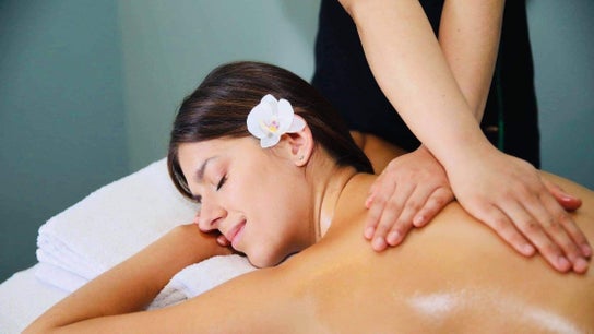 Harmony Tree Therapeutic Massage and Day Spa