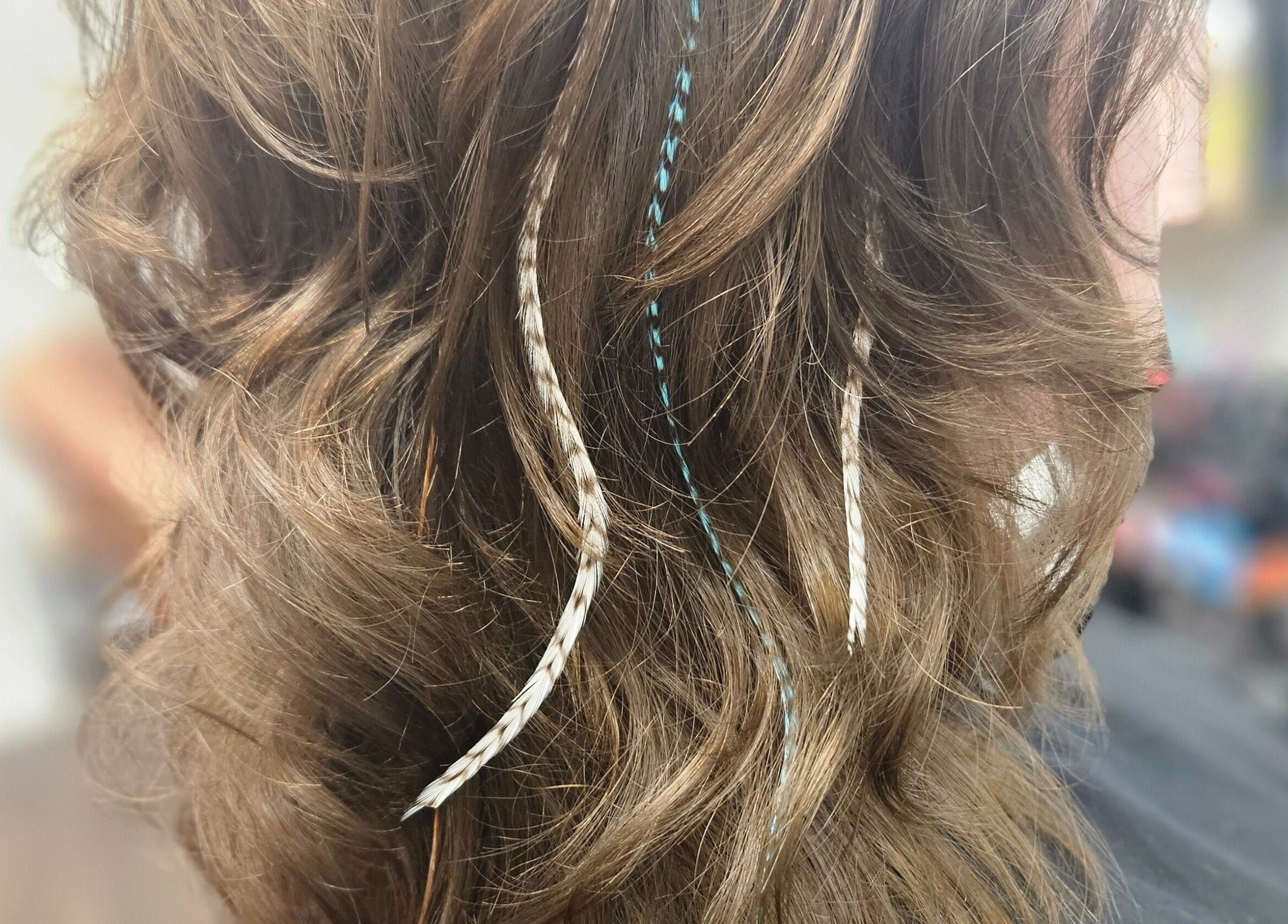 Stylish feathered hair extensions at Roxstar Hair Design, Punta Gorda, Florida, US.