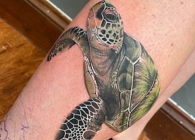 Detailed turtle tattoo created at Kracken Body Art in Gorleston-on-Sea, England, GB. Vivid and lifelike artistry.