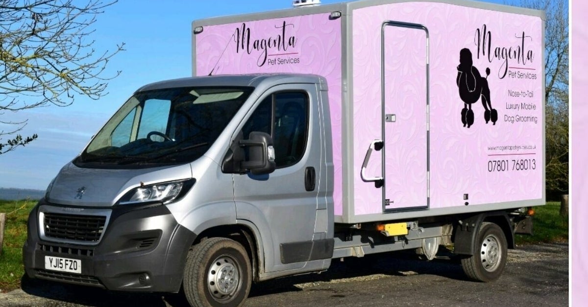 Buy vouchers at Magenta Pet Services SOUTHAMPTON UK, Ambleside