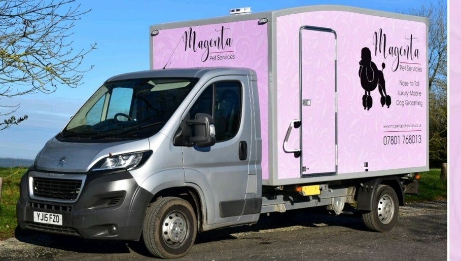 Magenta Pet Services - SOUTHAMPTON image 1