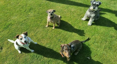 Magenta Pet Services - SOUTHAMPTON image 2