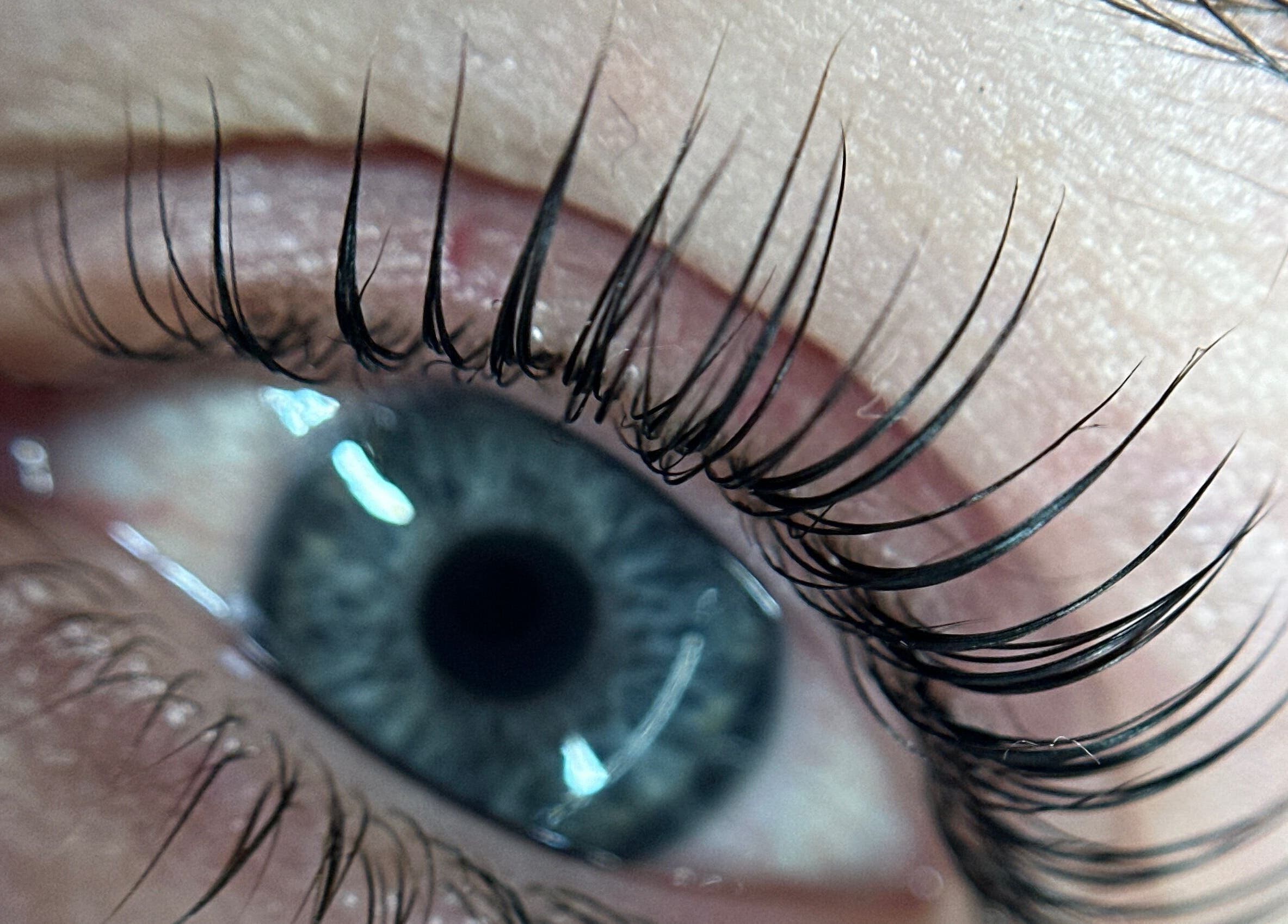 Close-up of eyelash extensions at Bea Paulette Artistry, Stevenage, England, GB.