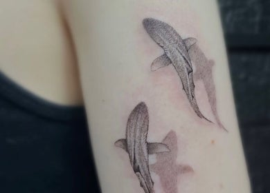 Intricate shark tattoos at Fineline Tattoos By Carla, located in Melbourne, Victoria, AU.