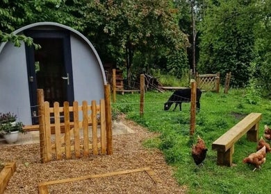 Rustic cabin at Karistyle, Maidstone, England, GB surrounded by lush greenery and peaceful farm animals.