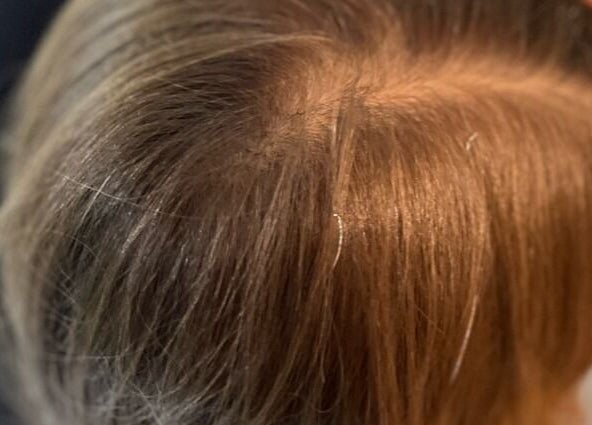 Close-up of freshly colored hair at A Wild Colorist Appears, Palatine, Illinois, US.