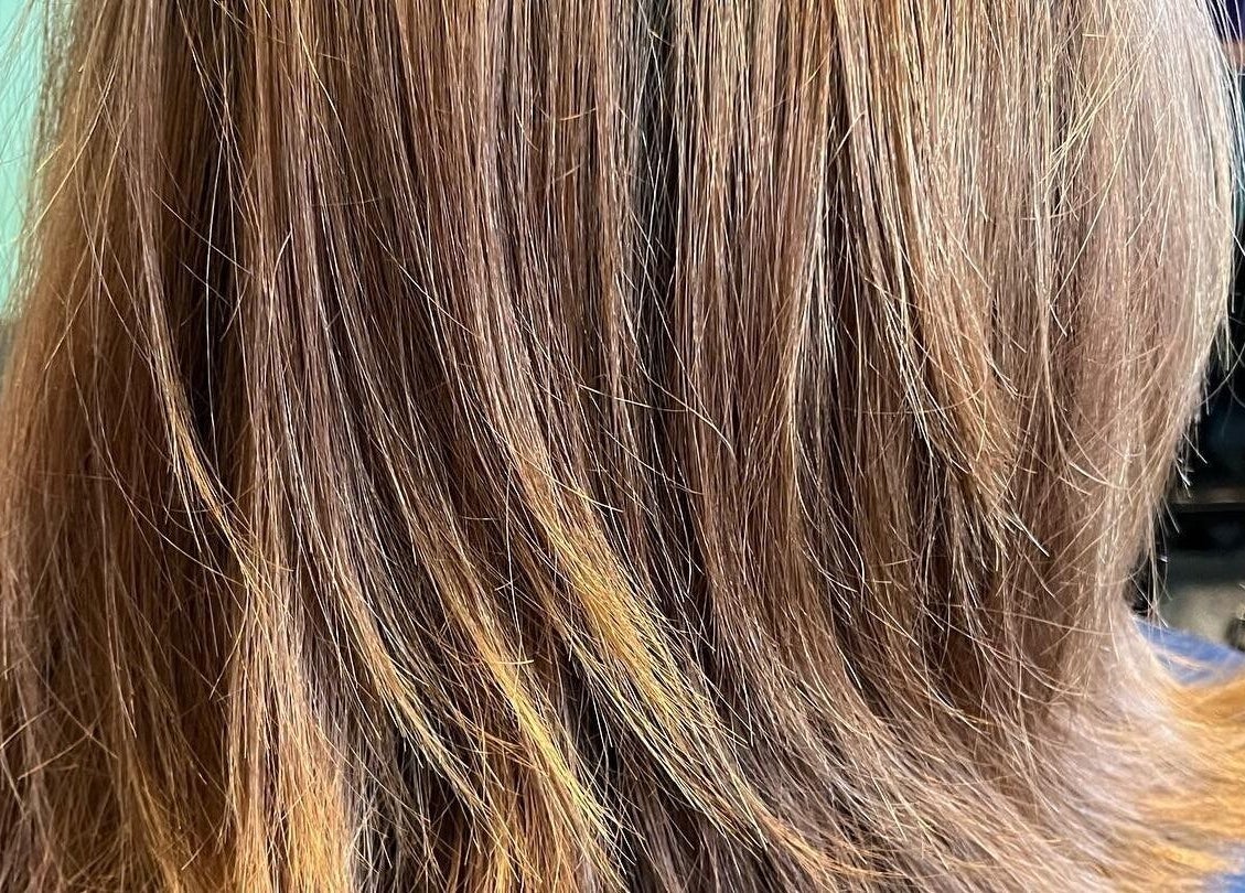 Beautifully styled hair at A Wild Colorist Appears in Palatine, Illinois, US, showcasing salon expertise.