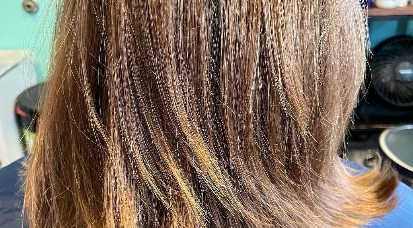 Beautifully styled hair at A Wild Colorist Appears in Palatine, Illinois, US, showcasing salon expertise.