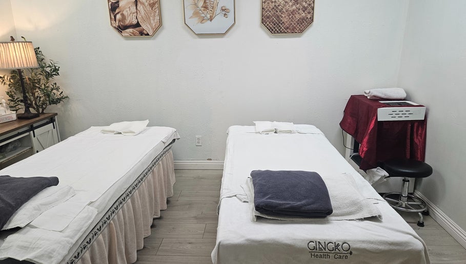 Gingko Health Care-Massage/Sauna/Acupuncture image 1