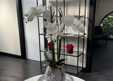Elegant white orchids adorn the serene interior of Dr Sam Rigby Facial Aesthetics in Cockermouth, England, GB.