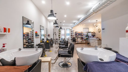 IN Salon-Saint-Mathieu (1439 saint-mathieu)