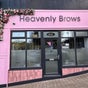 Heavenly Brows Blackwood