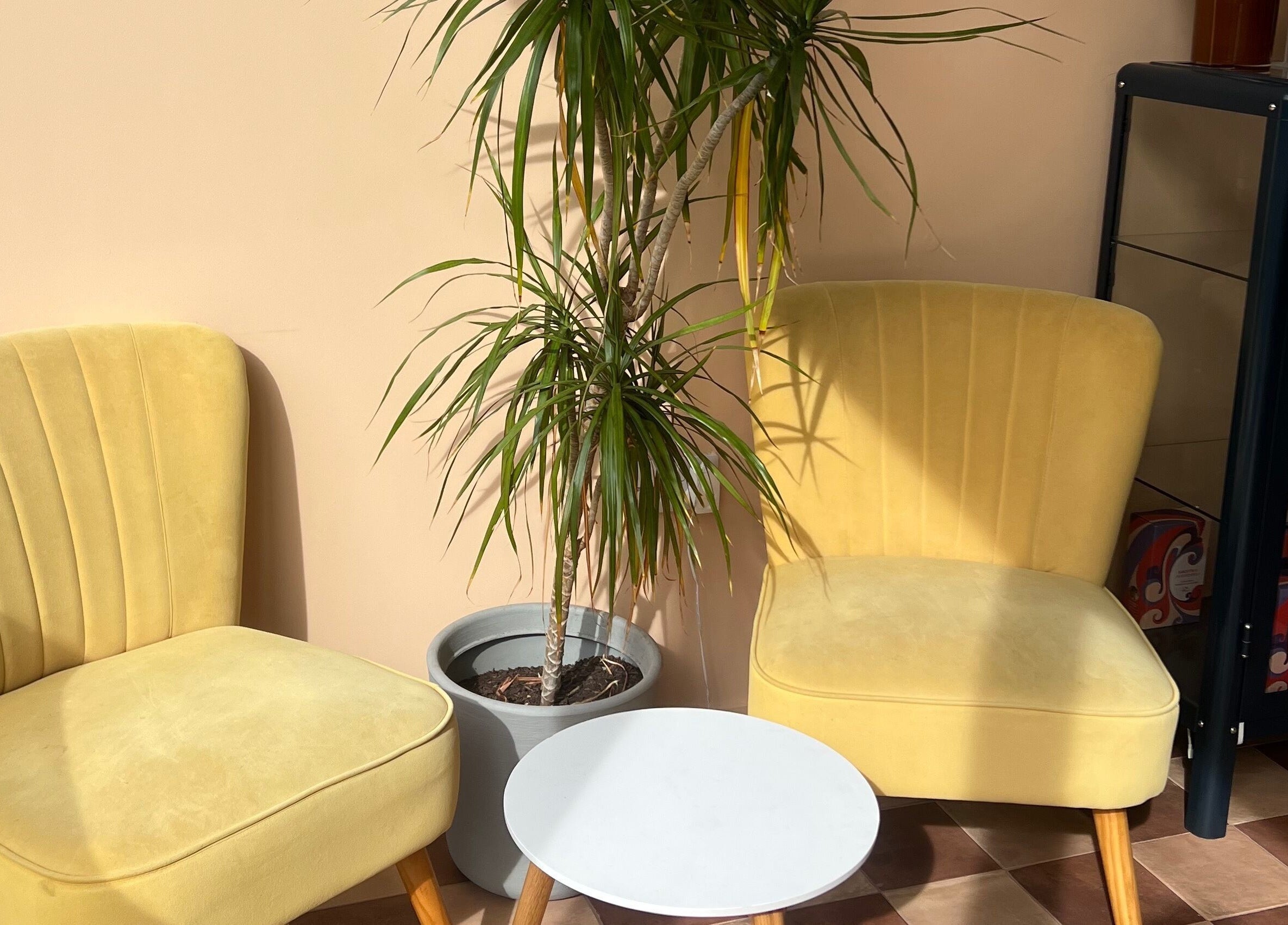 Cozy corner at Maxine, Southend-on-Sea, England, featuring yellow chairs and a potted plant.