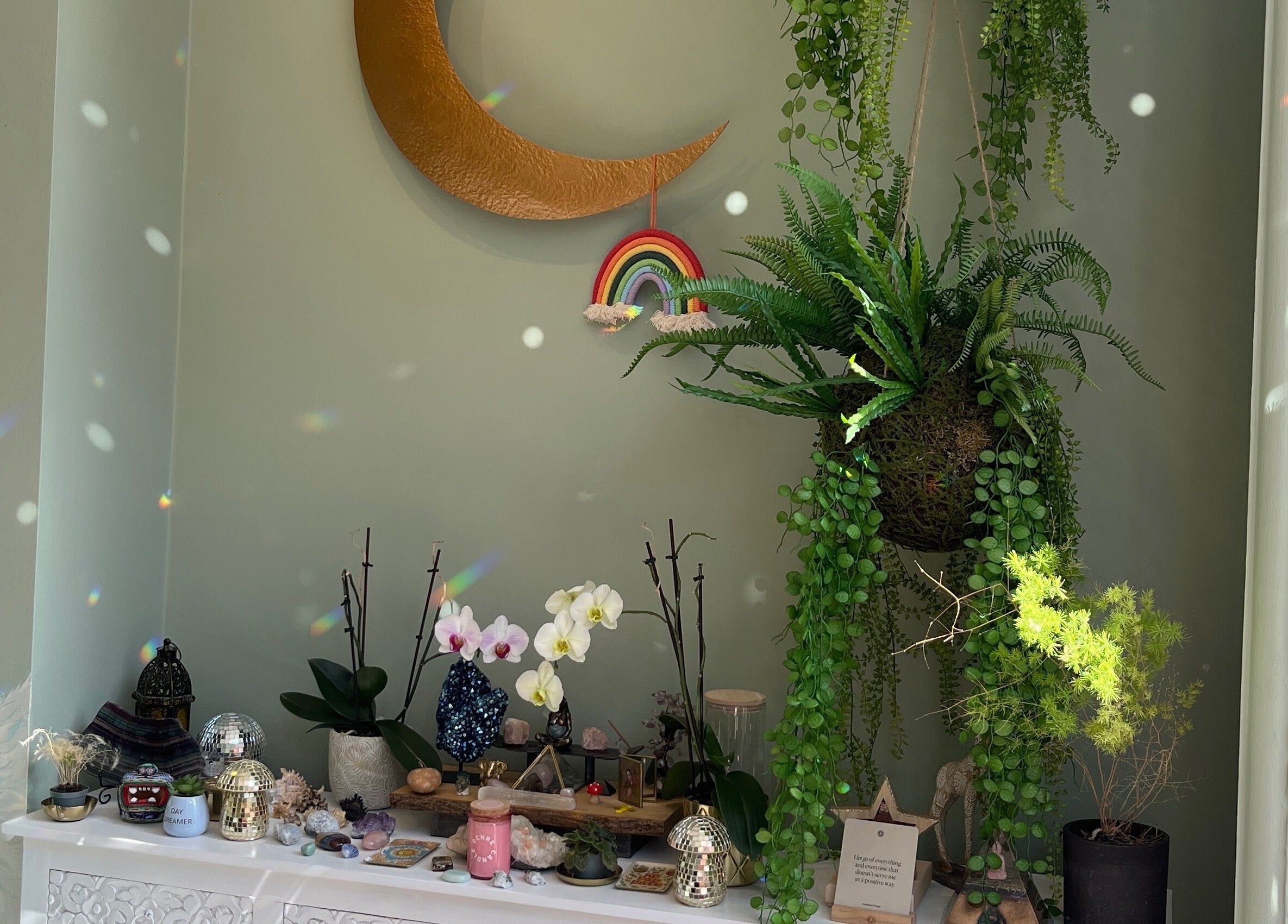 Decorative nook at Alchemy Lab, Dublin, Dublin, IE with plants, crescent moon, and rainbow art.