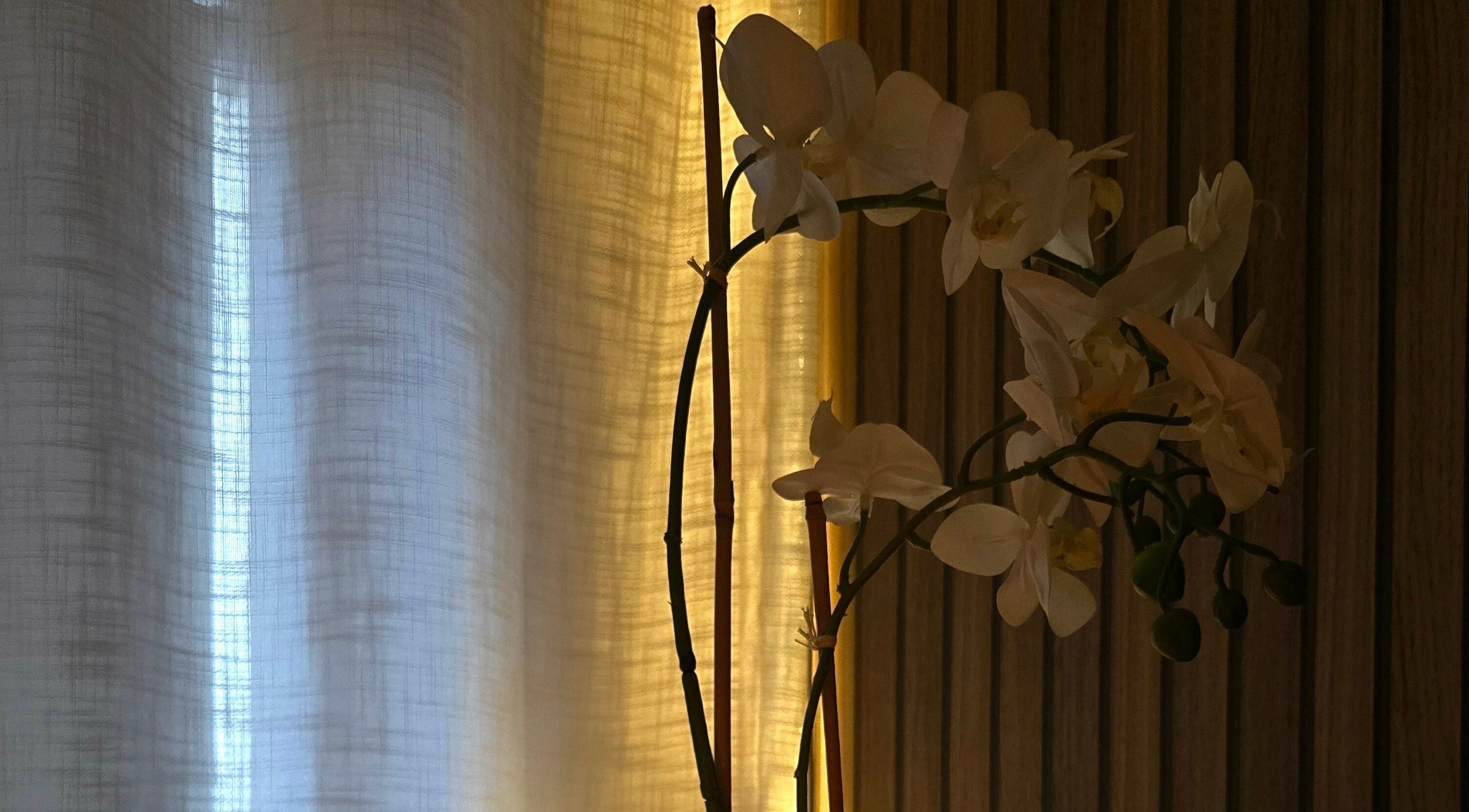 Elegant orchid display with soft lighting at Koda Beauty Studio, Forrestdale, Western Australia, AU.