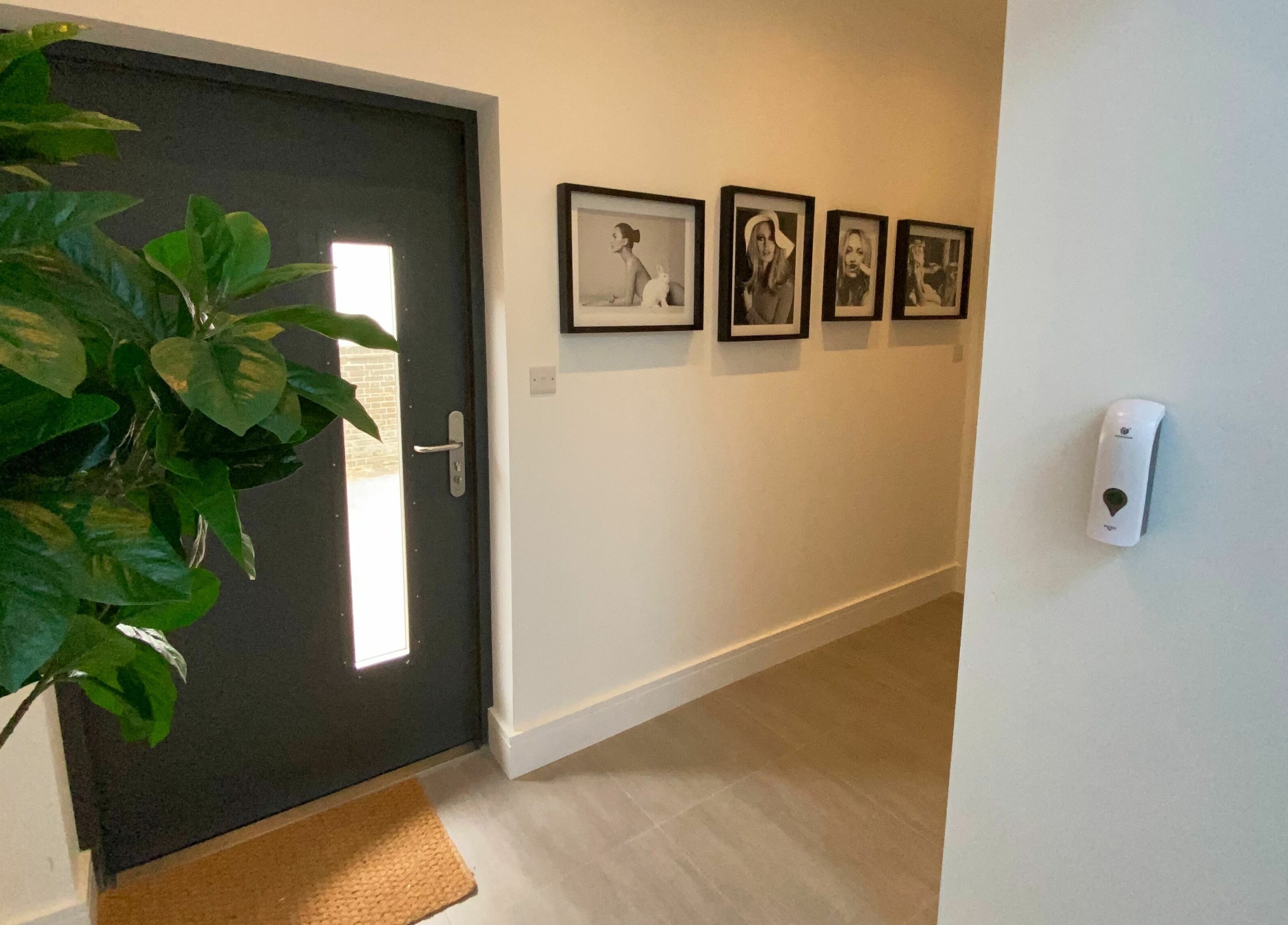 Stylish entry with plant and art at Beautybar Aesthetics, London, England, GB.