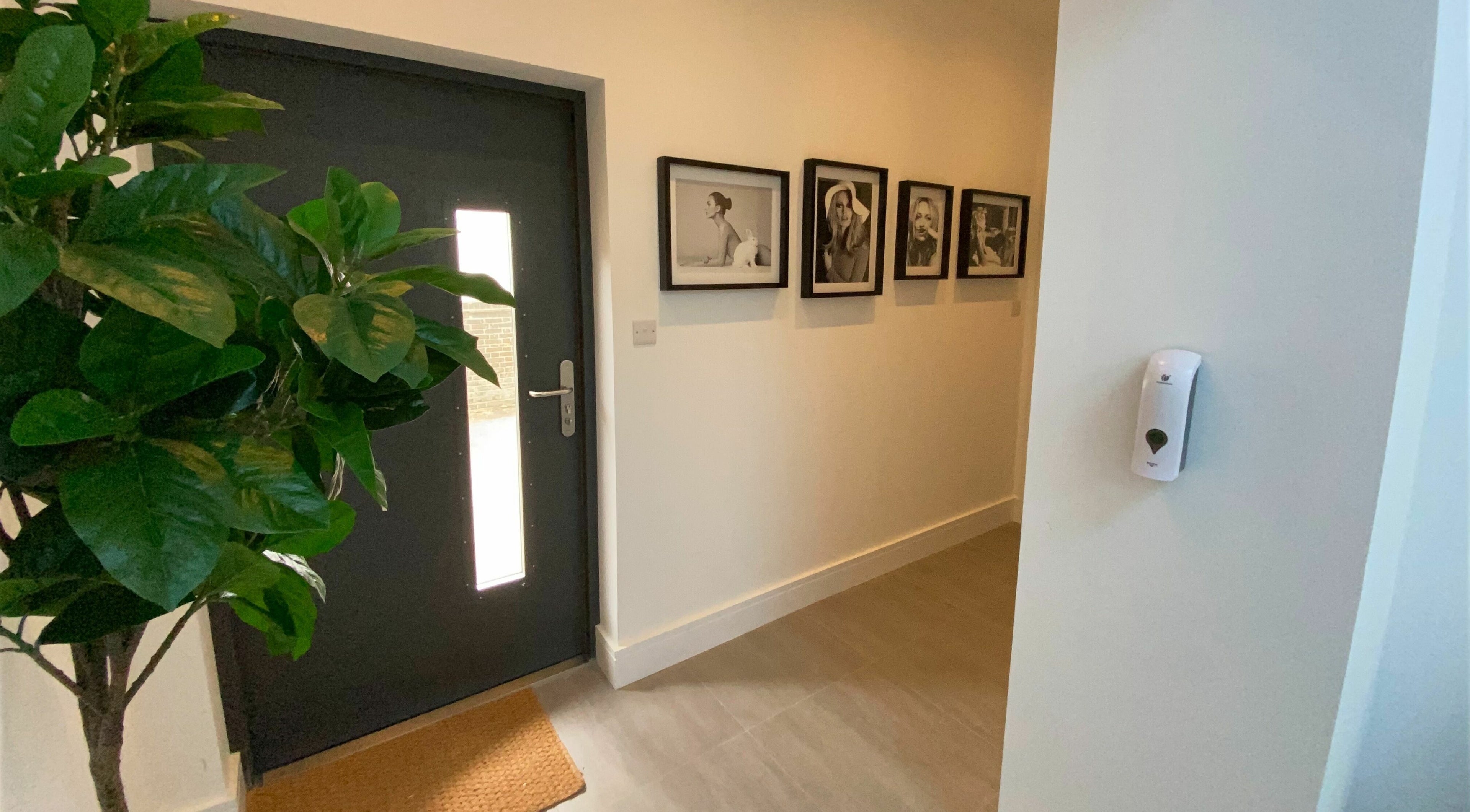 Stylish entry with plant and art at Beautybar Aesthetics, London, England, GB.