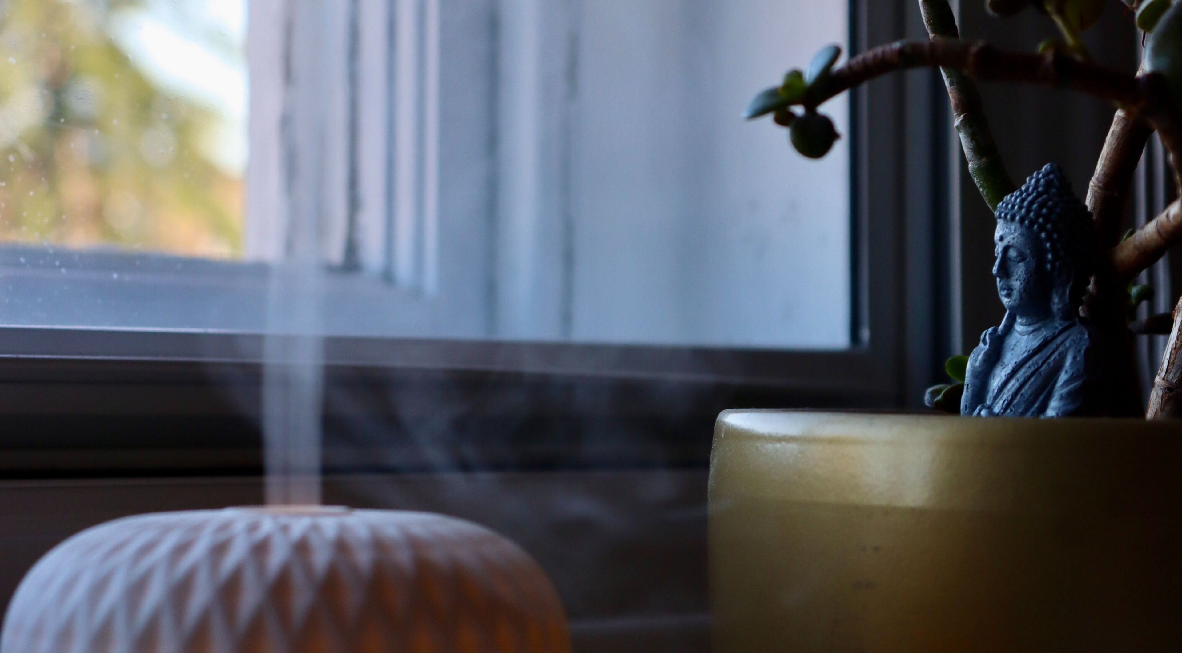 Serene ambiance with Buddha statue and plant at The Hair Chef UK, Fareham, England, GB.