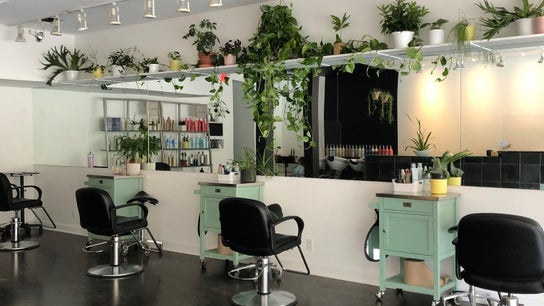 Käaz Salon