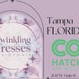 Tampa - Florida (COhatch)