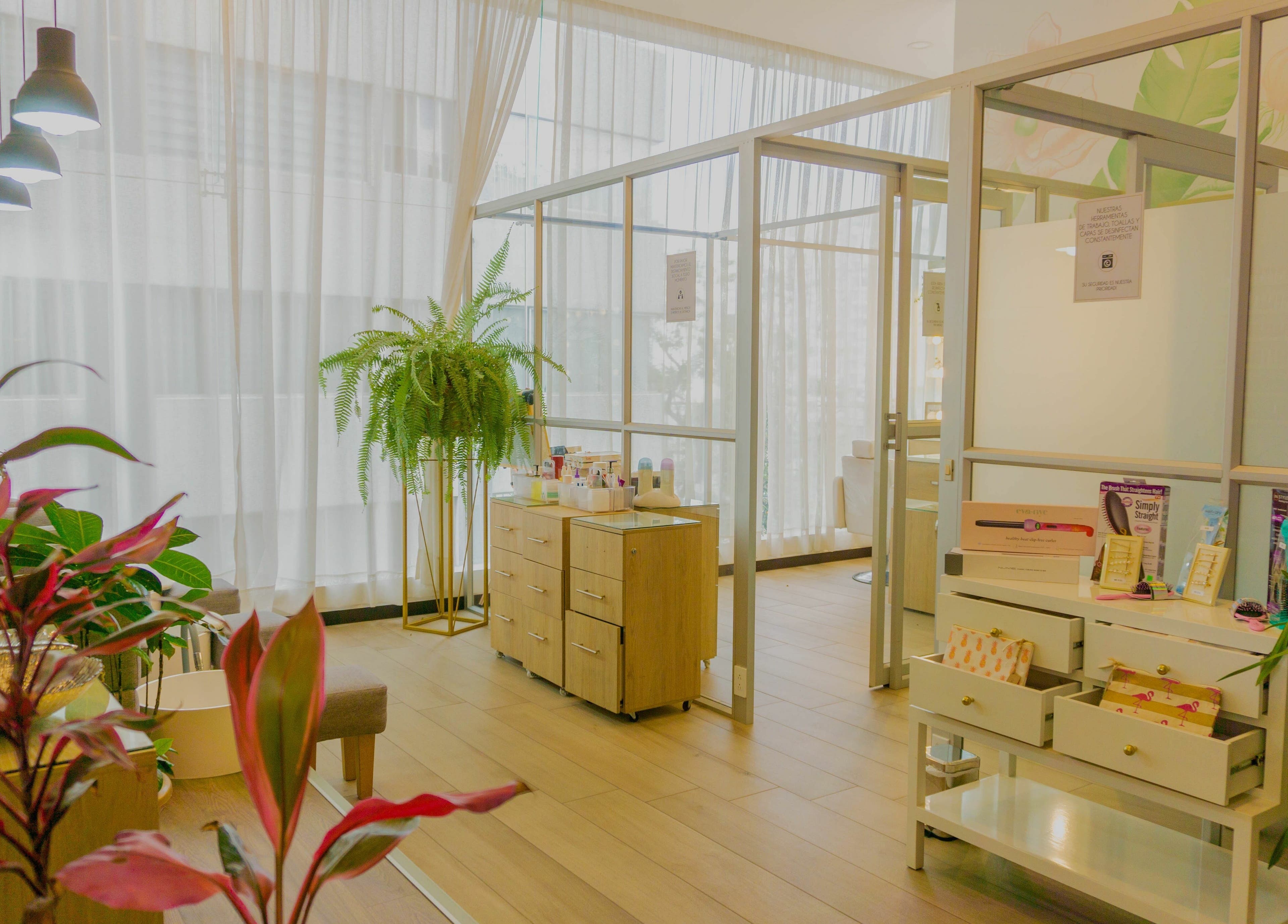 Interior acogedor de The Salon en Quito, Pichincha, EC, con plantas y decoración elegante.