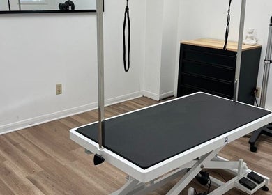 Professional grooming station at Northumberland Grooming Co. Brighton, Ontario, CA, highlighting modern facilities.