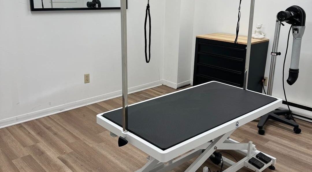 Professional grooming station at Northumberland Grooming Co. Brighton, Ontario, CA, highlighting modern facilities.