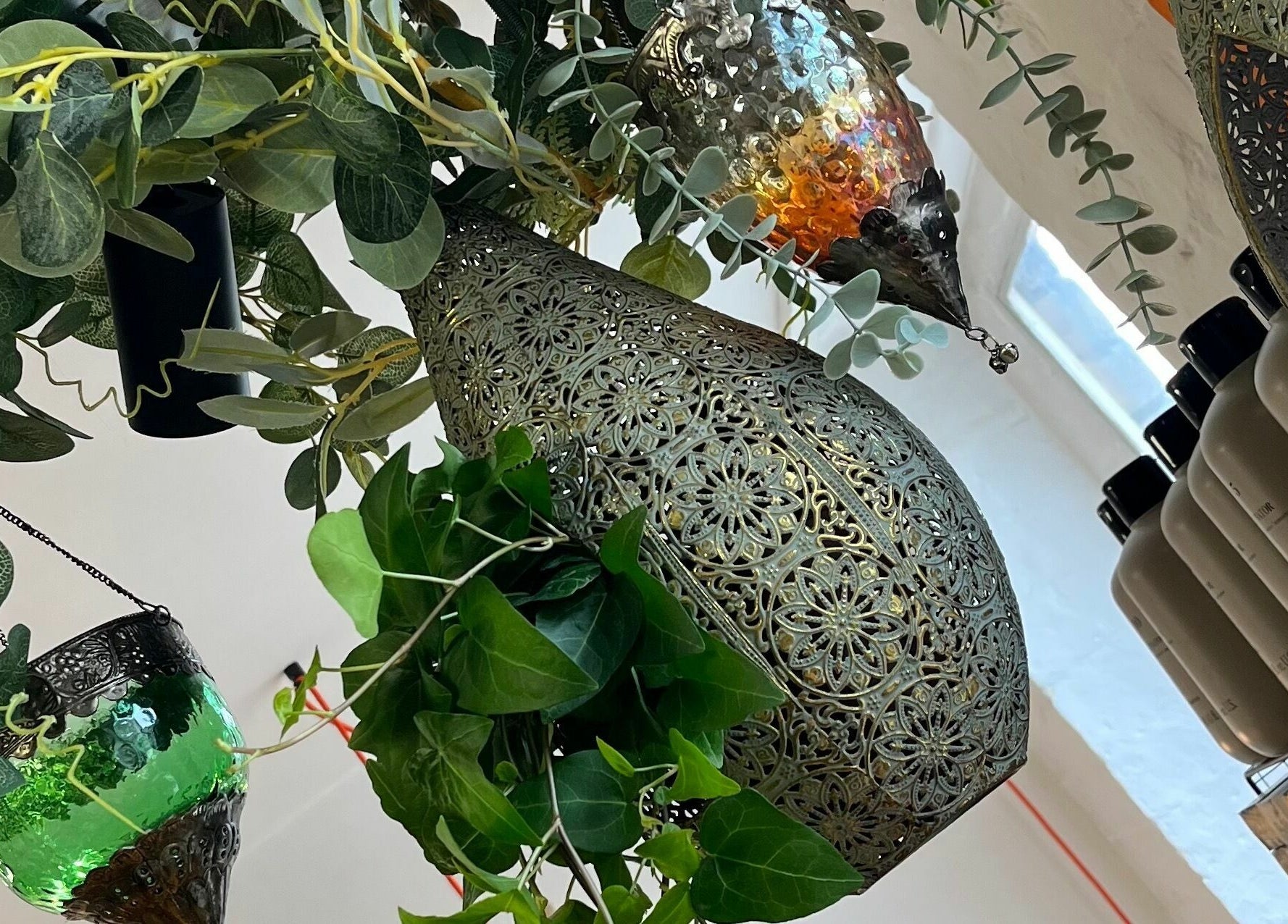 Exquisite hanging decor and products at Sheep Hair, Glasgow, Scotland, GB salon.