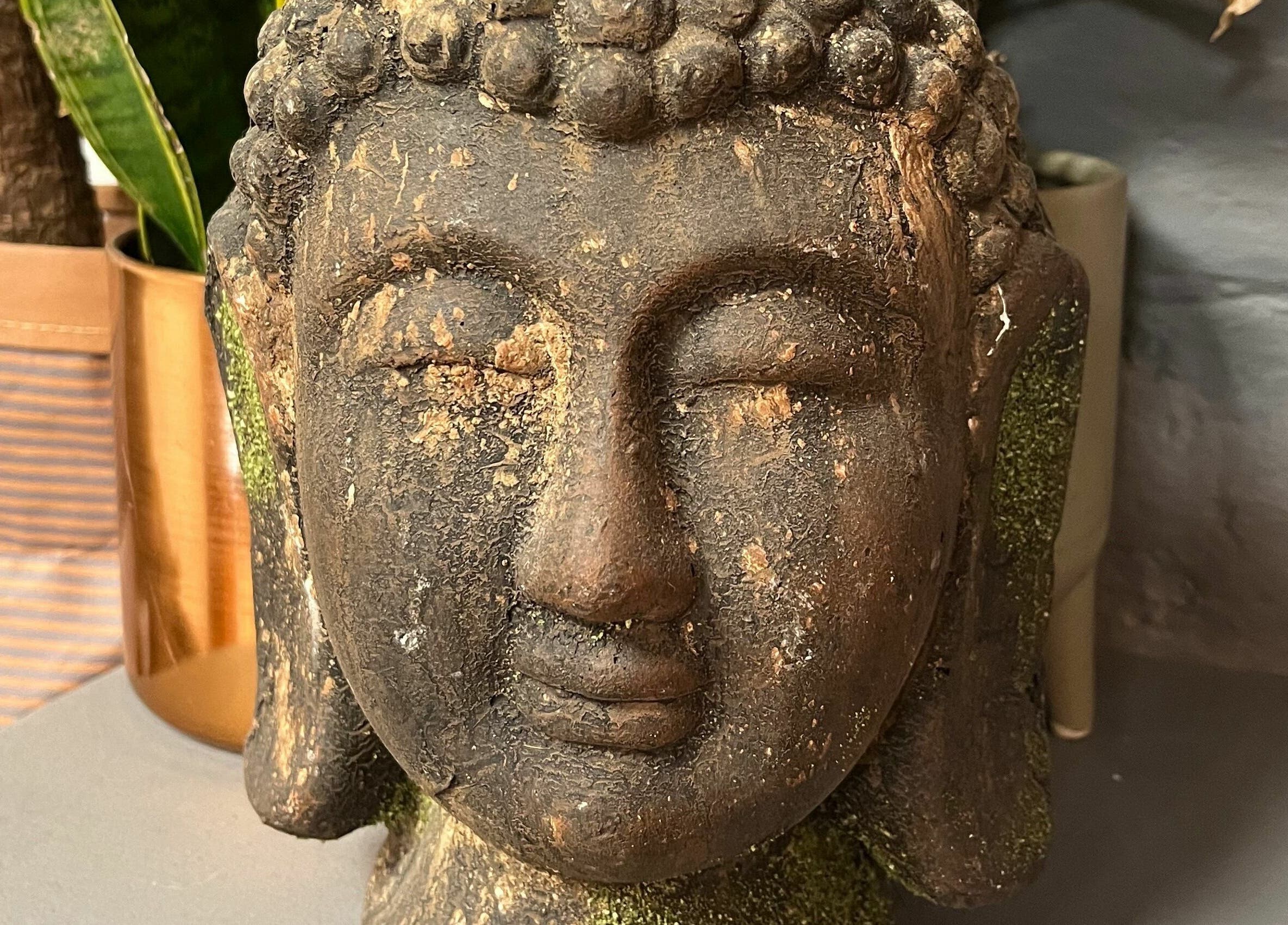 Stone Buddha statue at Sheep Hair, Glasgow, Scotland, GB, creates a serene atmosphere.