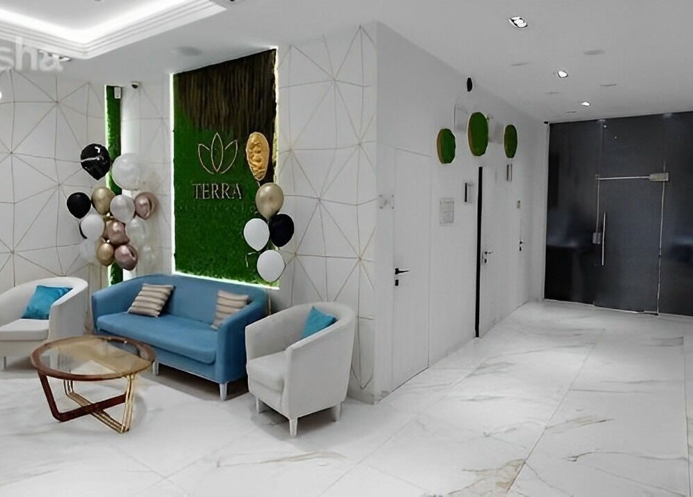 Recepția modernă Terra Beauty din Chișinău, Chișinău, MD, cu decor minimalist și zonă de așteptare elegantă.