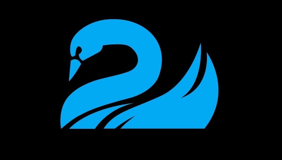 Cygnet Swimming Lessons image 1