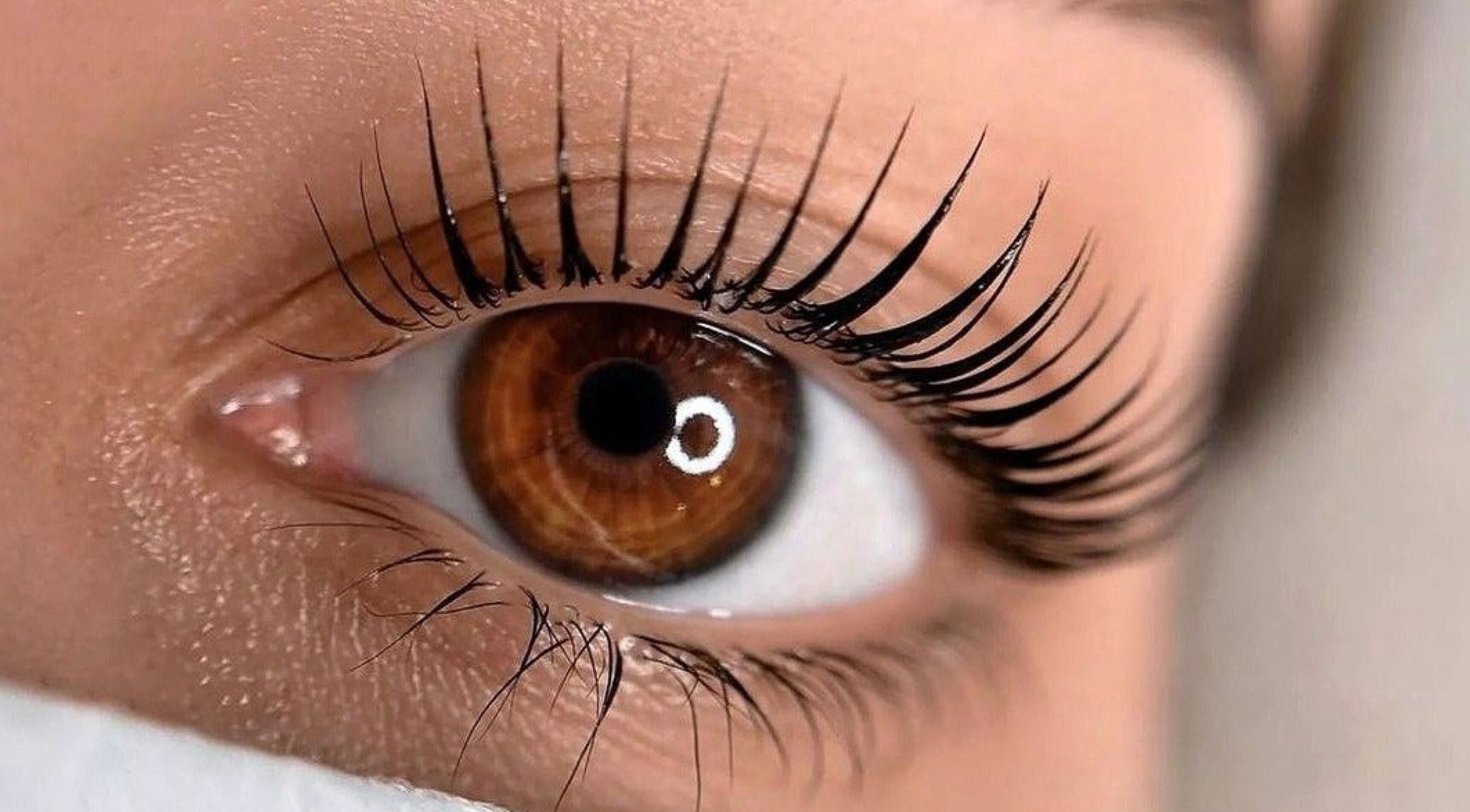 Close-up of styled eyelashes at Lashcore | Rondebosch East, Cape Town, Western Cape, ZA.