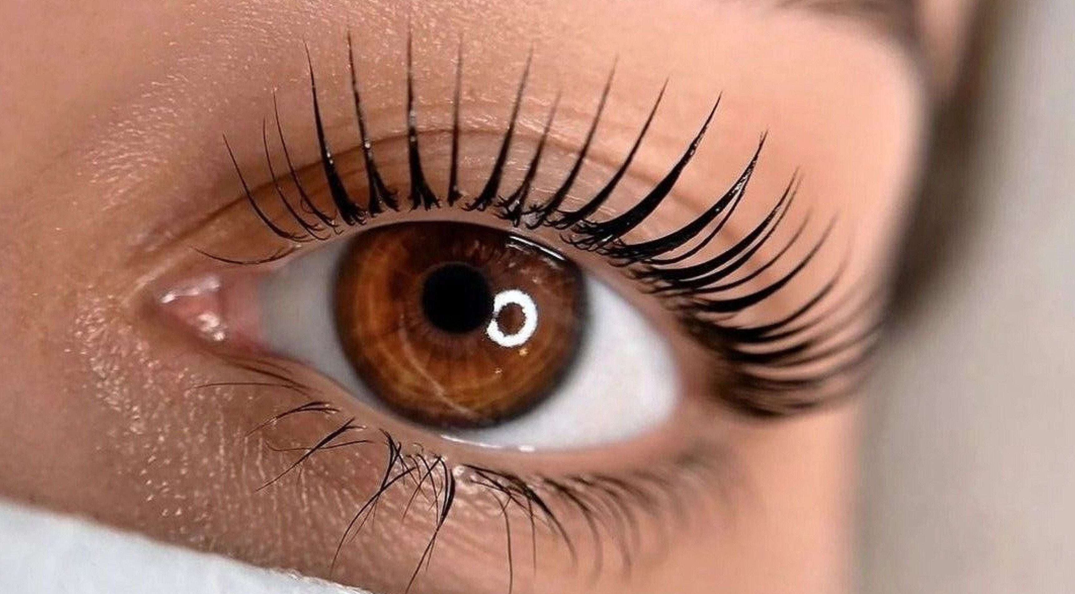 Close-up of styled eyelashes at Lashcore | Rondebosch East, Cape Town, Western Cape, ZA.