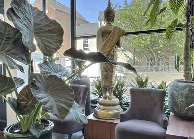 Calm interior of Thy Spa Oxford with large plants and a Buddha statue, Oxford, England, GB.