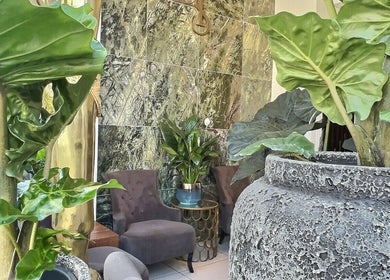 Lush green plants in the relaxing lounge area of Thy Spa Oxford, Oxford, England, GB.