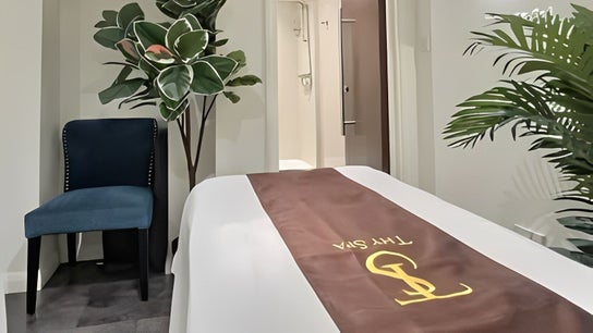 Relaxing massage room at Thy Spa Bath, featuring a comfortable chair and greenery, Bath, England, GB.