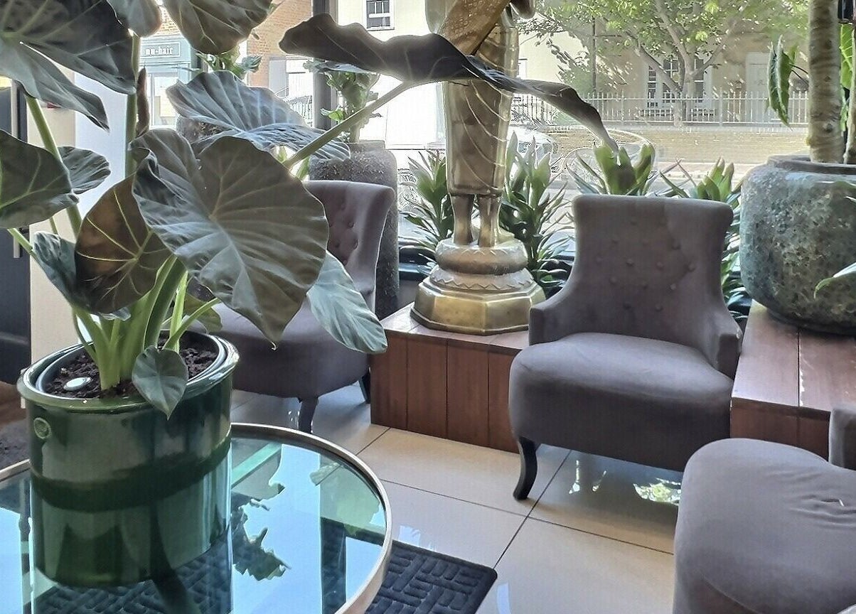 Elegant lounge area with lush plants in Thy Spa Oxford, Oxford, England, GB, enhancing relaxation and calm.