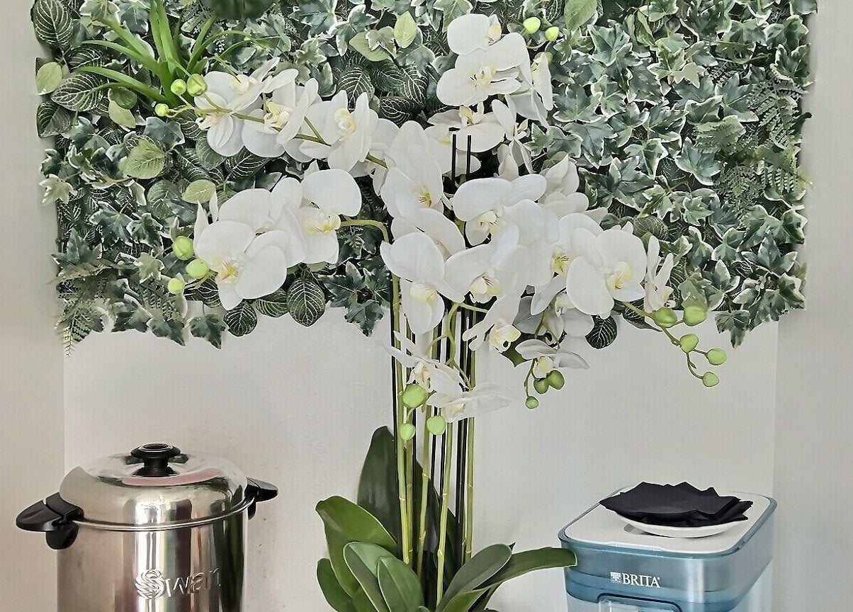 Beautiful orchids and lush greenery at Thy Spa Oxford, Oxford, England, GB. Enhancing the serene wellness ambiance.