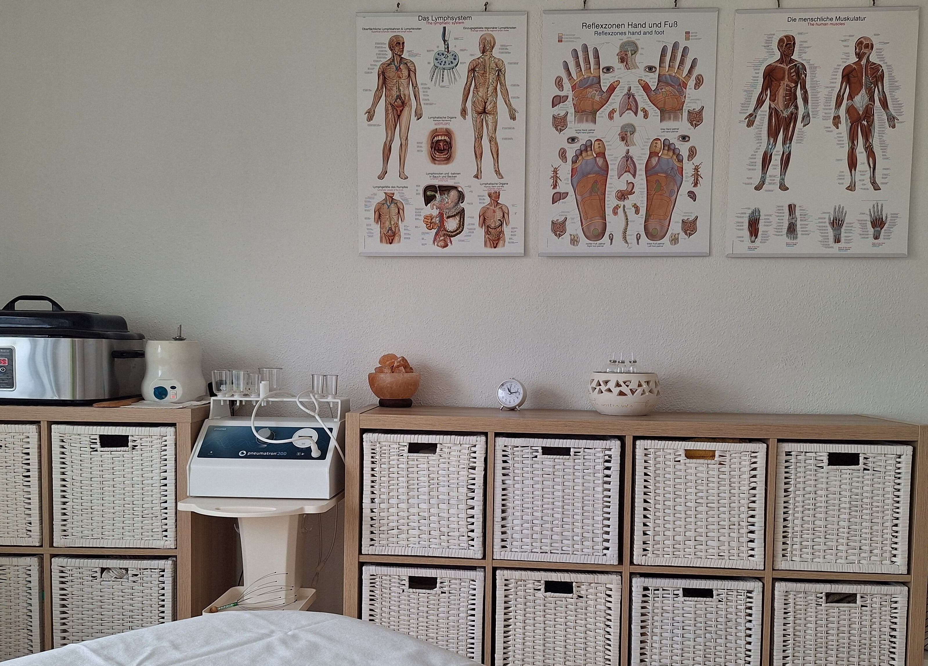 Innenraum der Xundi Naturheilpraxis Jasmin Bell mit medizinischen Postern in Winterthur, Zürich, CH.