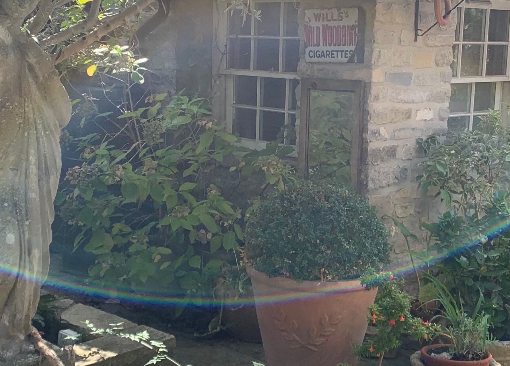 A tranquil garden nook at The Massage Place, Glastonbury, England, GB with lush plants and a stone statue.