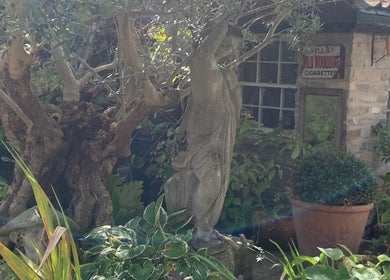 A tranquil garden statue amid lush greenery at The Massage Place, Glastonbury, England, GB.