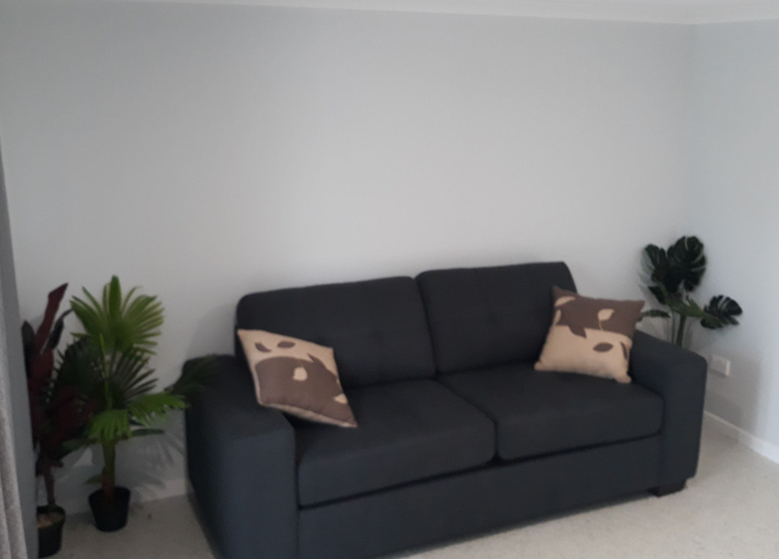 Essential Beauty 2 U venue in Victory Heights, Queensland, AU, showcasing a sleek dark sofa with plants.